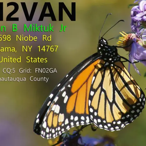 N2VAN profile image