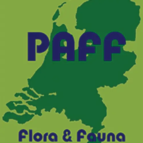 PB44FF profile image