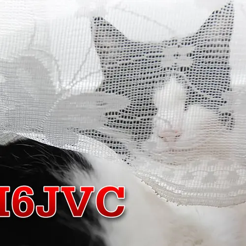 MI6JVC profile image