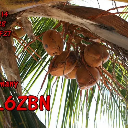 DL6ZBN