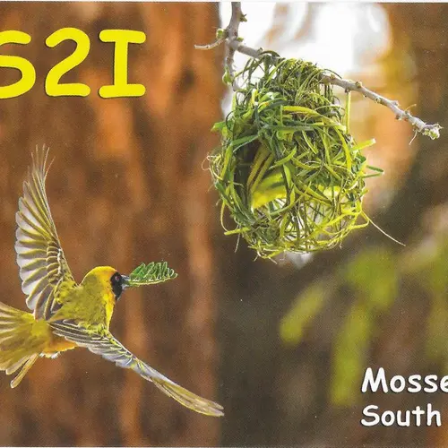 ZS2I profile image