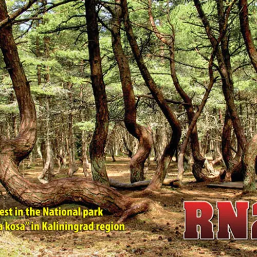 RN2F profile image