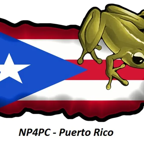 NP4PC profile image