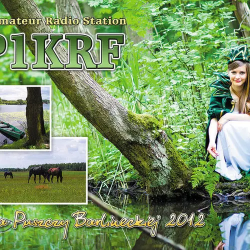 SP1KRF profile image