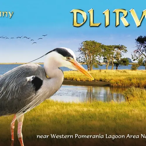 DL1RWN