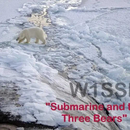 W1SSN profile image