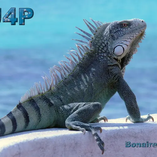 PJ4P profile image