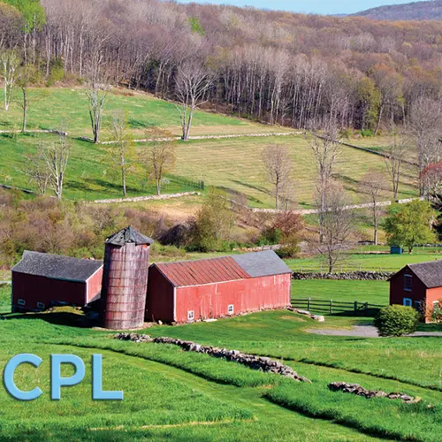 N1CPL profile image