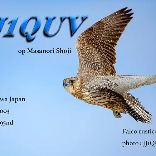 JJ1QUV profile image