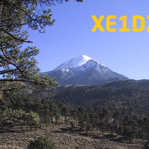 XE1DZ profile image