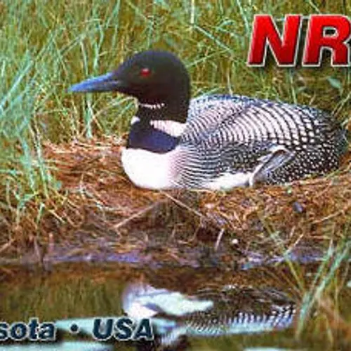 NR0T profile image
