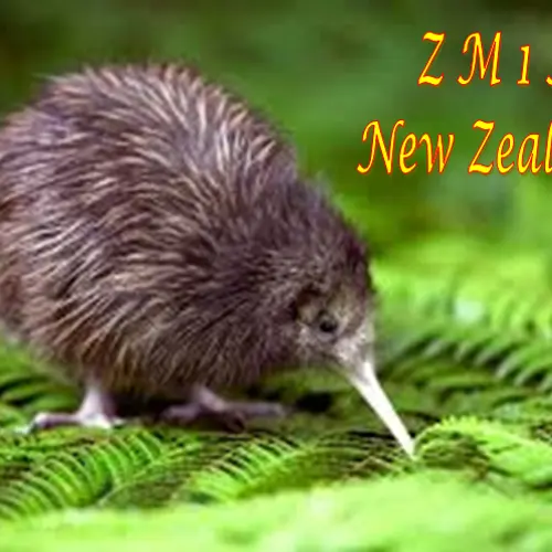 ZM1A profile image