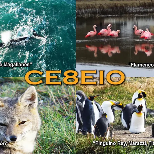 CE8EIO
