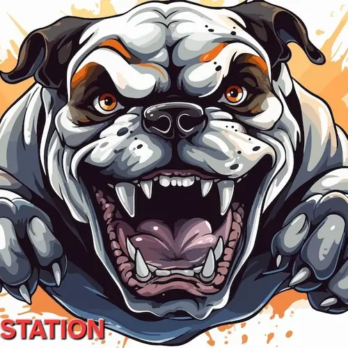 EF5Q profile image