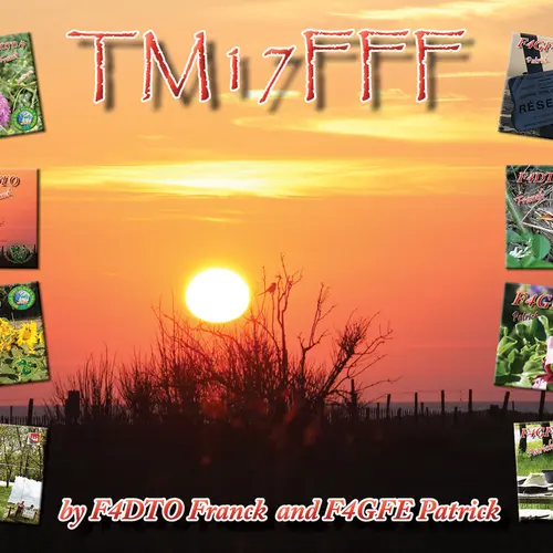 TM17FFF profile image