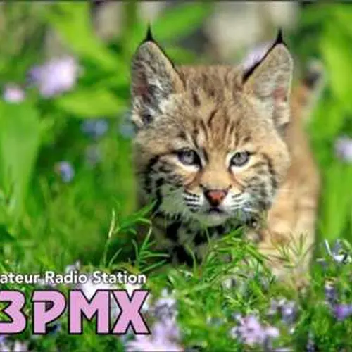SQ3PMX profile image