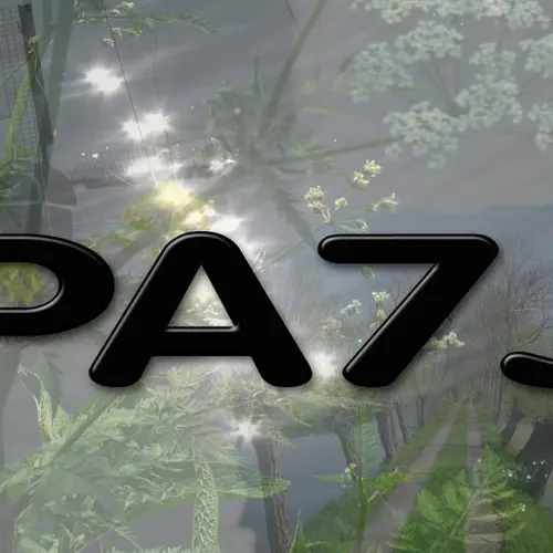 PA7J profile image