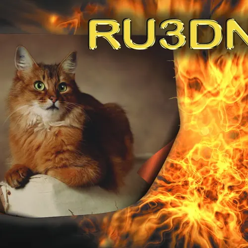 RU3DNN profile image