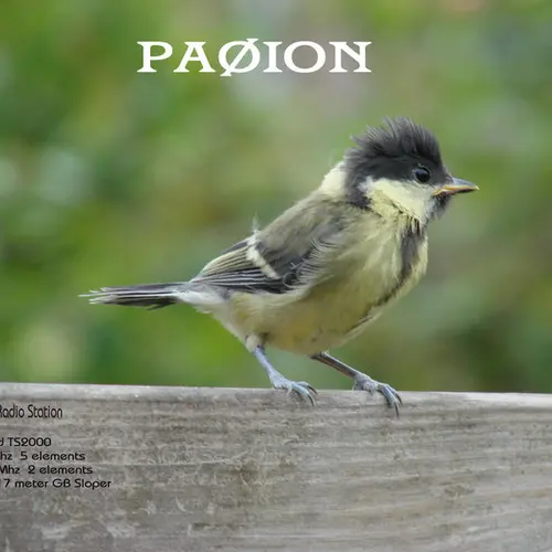 PA0ION profile image