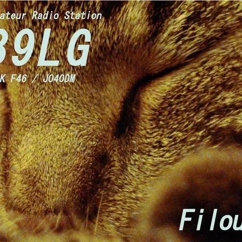 DB9LG profile image