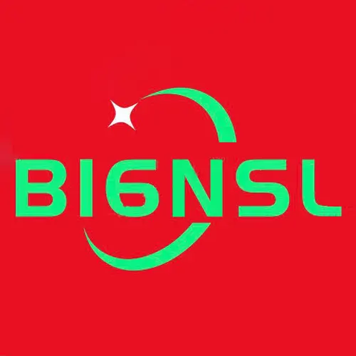 BI6NSL profile image