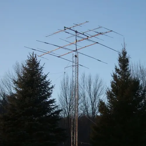 N1CD profile image