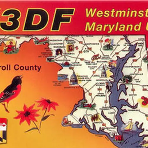 W3DF profile image