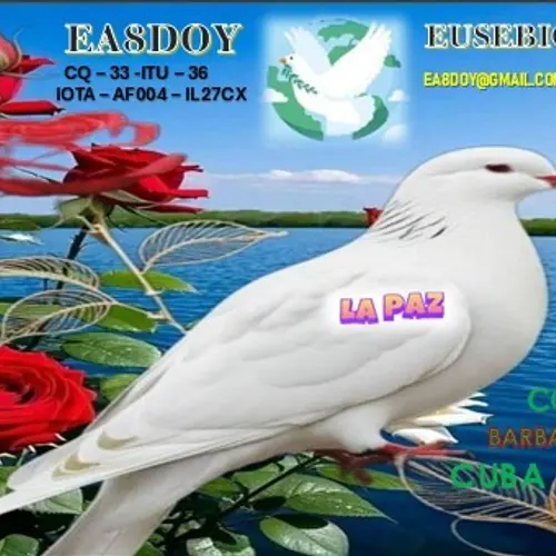 EA8DOY
