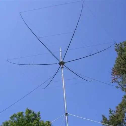 LZ2ZM profile image