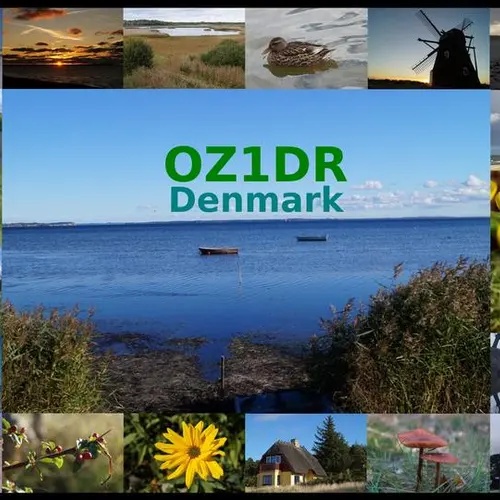 OZ1DR profile image