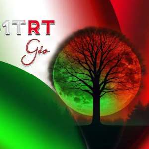 IU1TRT profile image