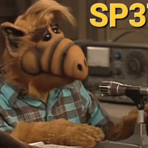 SP3T profile image