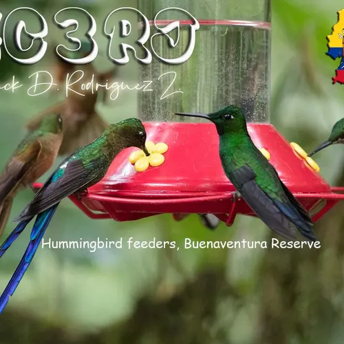 HC3RJ profile image