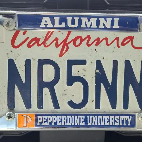 NR5NN profile image