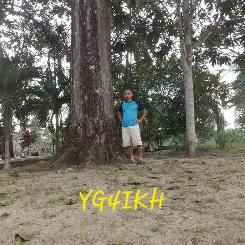 YG4IKH profile image