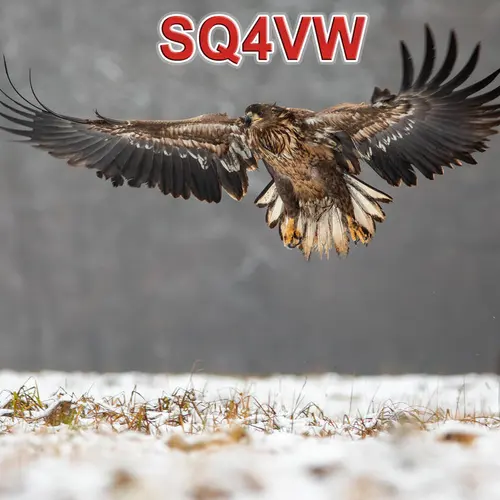 SQ4VW profile image