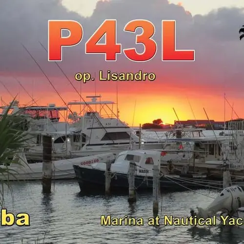 P43L profile image