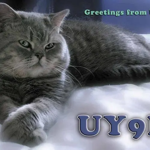 UY9IF profile image
