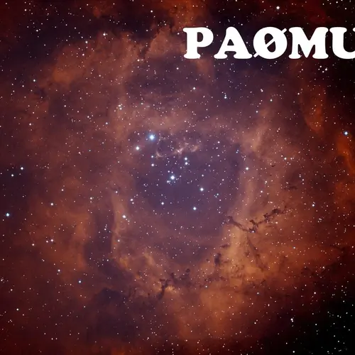 PA0MUS profile image