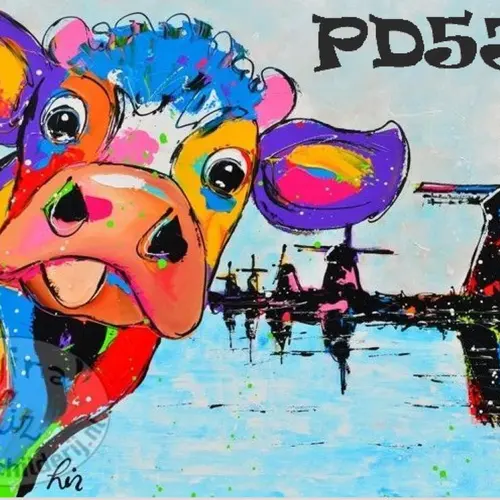 PD5JS profile image