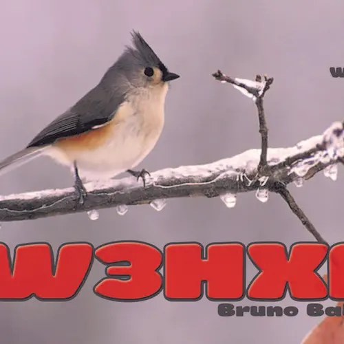 IW3HXR profile image