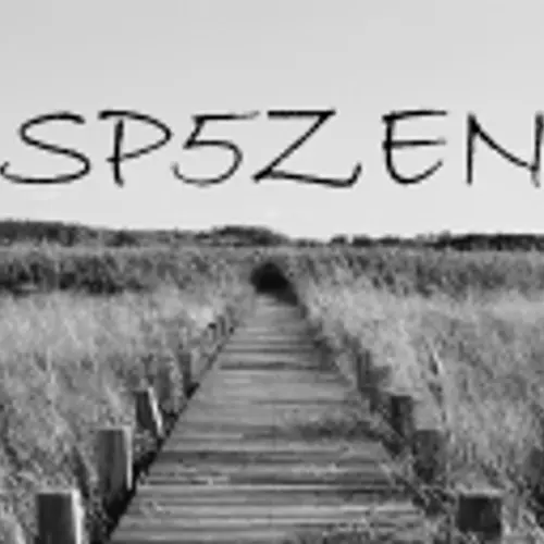 SP5ZEN profile image