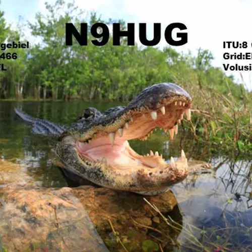 N9HUG profile image