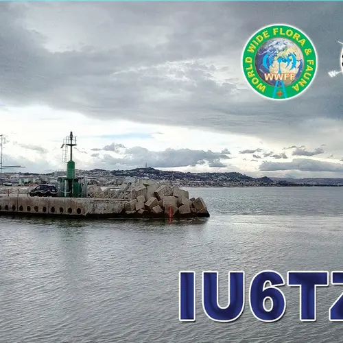 IU6TZT profile image