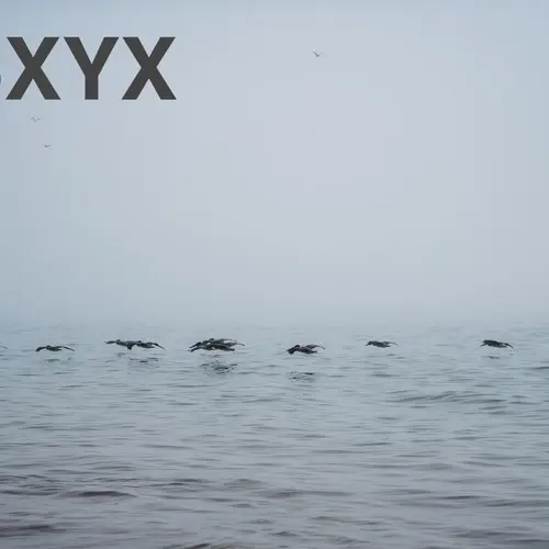 N5XYX profile image