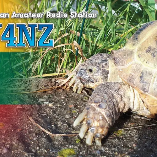 LY4NZ profile image