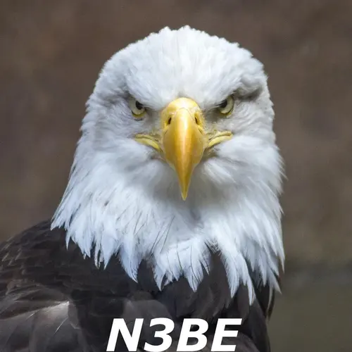 N3BE profile image
