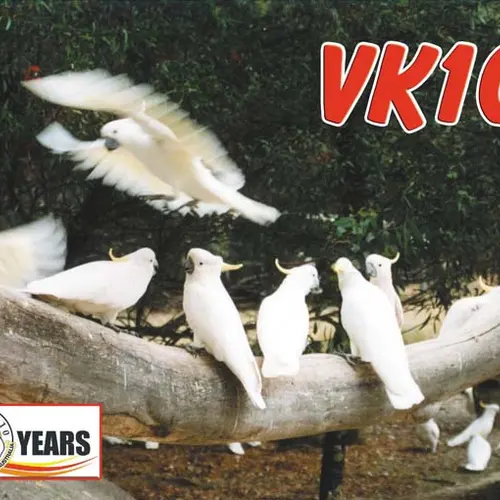 VK1OO profile image