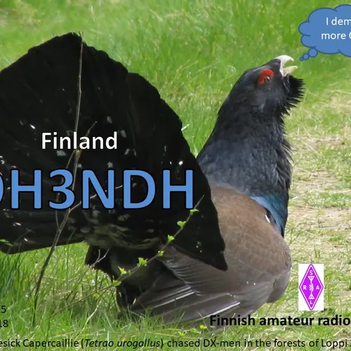 OH3NDH profile image