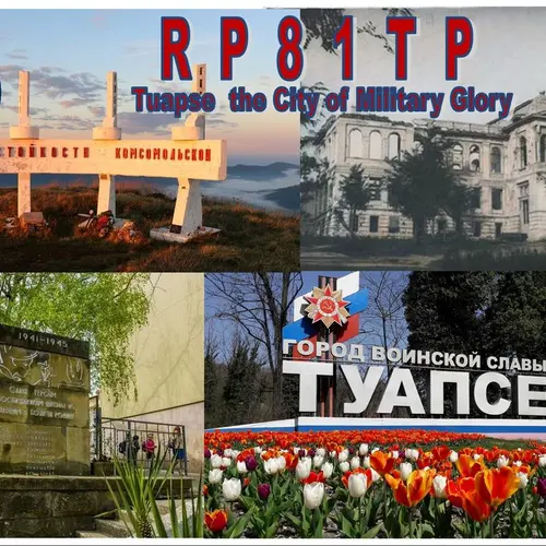 RP81TP profile image